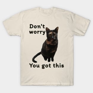 Don’t Worry You Got This (kitty) T-Shirt